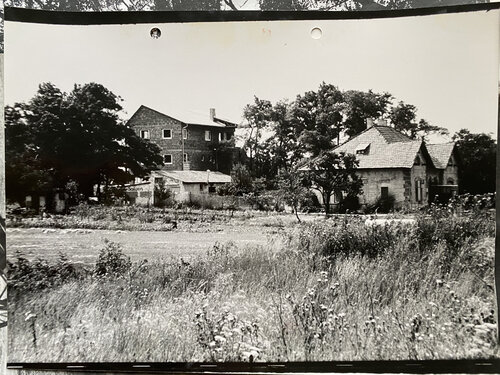 Gründung der Privatschule Friedrichshof